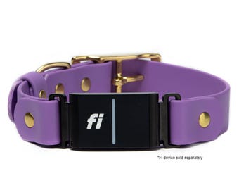 Fi Series 3 Compatible - BioThane® Waterproof Buckle Collar