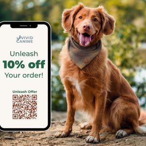 A retriever dog sitting on a dirt path, with a smartphone displaying a 10% off order offer