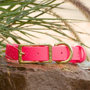 BioThane® Waterproof Buckle Dog Collar - Bubblegum Pink
