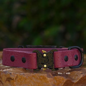 A red dog collar with a black buckle and a label indicating the collar's width.