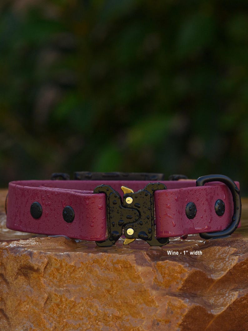 A red dog collar with a black buckle and a label indicating the collar's width.