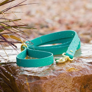 BioThane® Waterproof Dog Leash - Teal