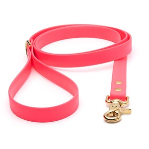 BioThane® Waterproof Dog Leash - Bubblegum Pink