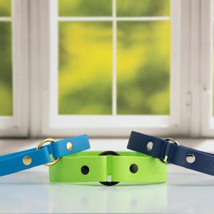 BioThane® House Dog Collar – Lightweight Slip-On ID Tag Collar