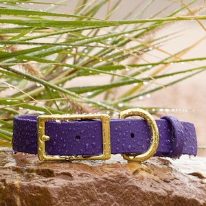 BioThane® Waterproof Buckle Dog Collar - Purple
