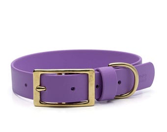 BioThane® Waterproof Buckle Dog Collar - Amethyst