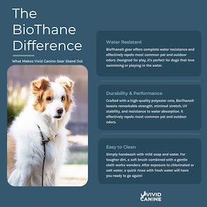 Vivid Canine BioThane® material benefits infographic