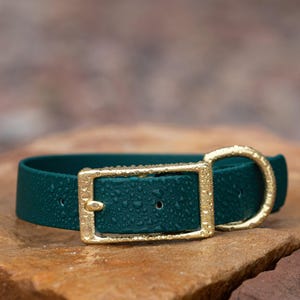 BioThane® Waterproof Buckle Dog Collar - Emerald