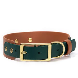 BioThane® Layered Two Tone Buckle Collar - 1&quot; & 1.5&quot;
