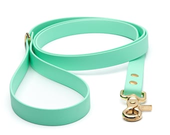 BioThane® Waterproof Dog Leash - Seafoam