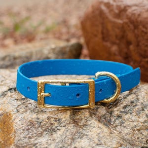 BioThane® Waterproof Buckle Dog Collar - Azure