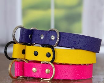 BioThane® Waterproof Slip Dog Collar