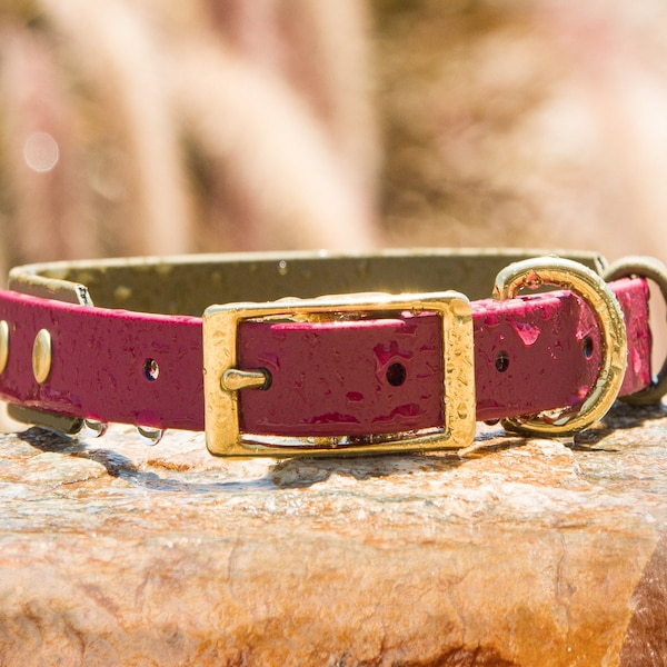 BioThane® Layered Two Tone Buckle Collar - 3/4" & 1"