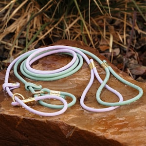 two slip leads in lilac and sage green with solid brass hardware on a rock
