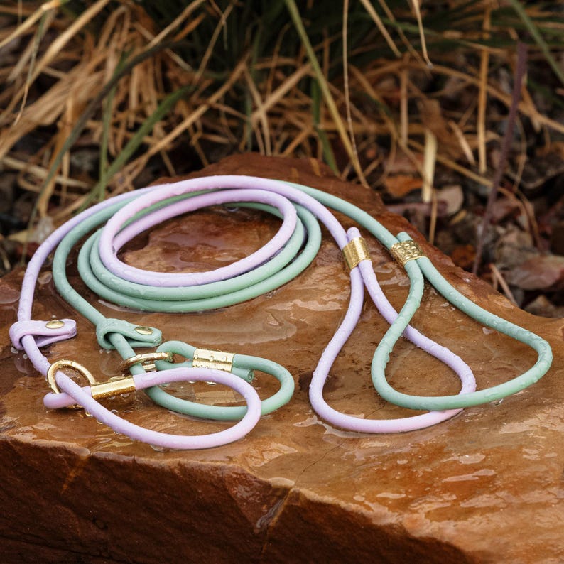 two slip leads in lilac and sage green with solid brass hardware on a rock