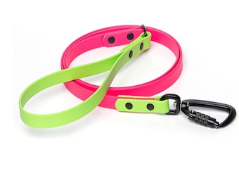 Two-Tone BioThane® Dog Leash