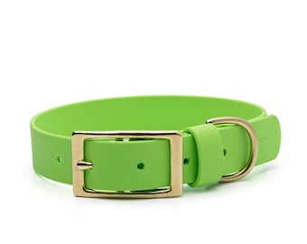 BioThane® Waterproof Buckle Dog Collar - Lime