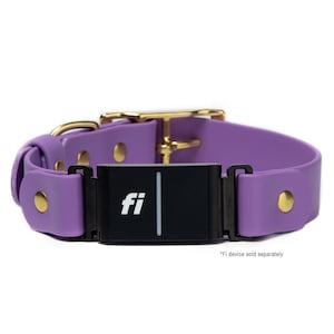 Fi Series 3 Compatible - BioThane® Waterproof Buckle Collar