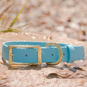 BioThane® Waterproof Buckle Dog Collar - Sky Blue