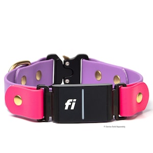 A purple-and-pink fi-compatible quick-release dog collar on a white background