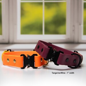 Two fi-compatible quick-release dog collars, one orange and one wine-colored, are placed on a white surface in front of a window.