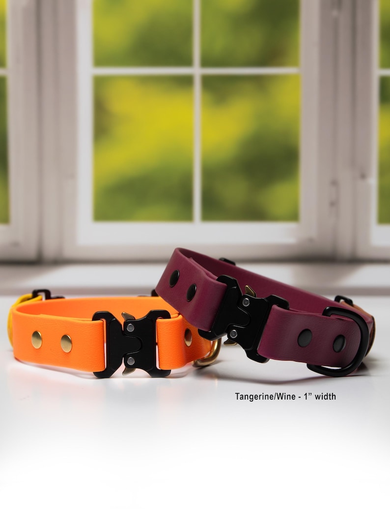 Two fi-compatible quick-release dog collars, one orange and one wine-colored, are placed on a white surface in front of a window.