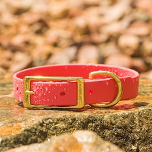 BioThane® Waterproof Buckle Dog Collar - Coral