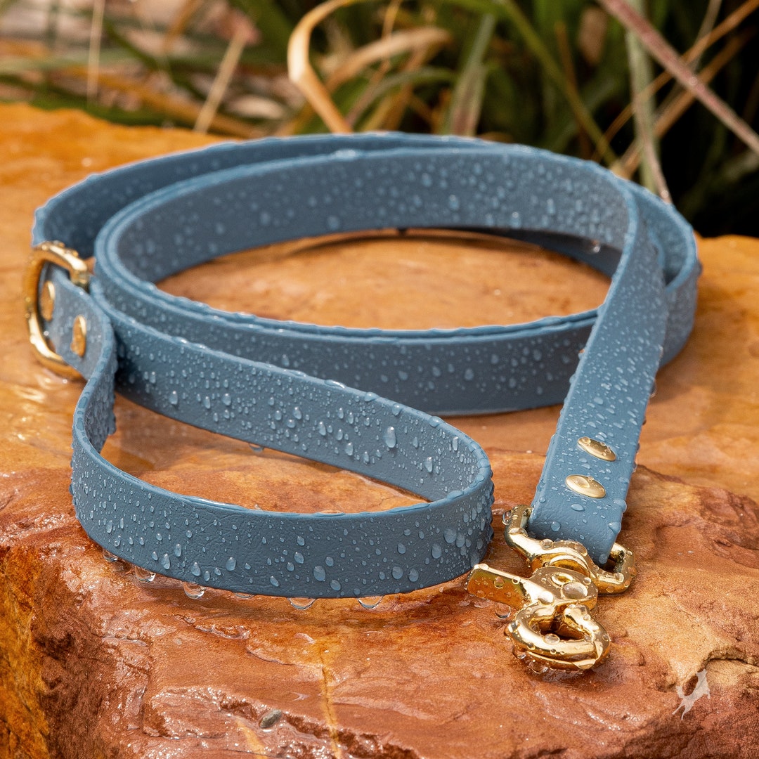 Biothane® Waterproof Dog Leash Steel Blue Etsy