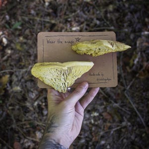 Pinos de fungos eternos - cogumelos, goblincore, cottagecorefashion, faecore, pins, aconchegante, floresta, hobbitcore, contos de fadas, outono