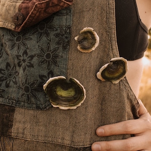 May include: A brown, multi-textured fabric garment with a floral pattern and three dried mushroom shapes attached.