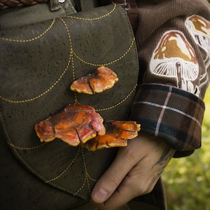 Cinnabar polypore pins -mushrooms,goblincore,cottagecorefashion,faecore,pins,cozy,woodland,hobbitcore,fairytales,cosyaccessories,jewerly
