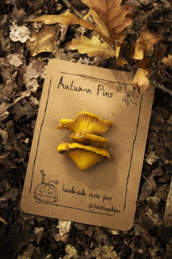 Chanterelle pin - mushrooms,goblincore,cottagecorefashion,faecore,pins,cozy,woodland,hobbitcore,fairytales,cosyaccessories,jewerly,whimsy