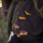 Forest Accessories