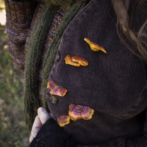 Little shelf fungi - mushroom,hobbitcore,goblincore,cottagecorefashion,autumn,fallvibes,forestfairyfashion,pin,fantasy,cozyfashion,cozy