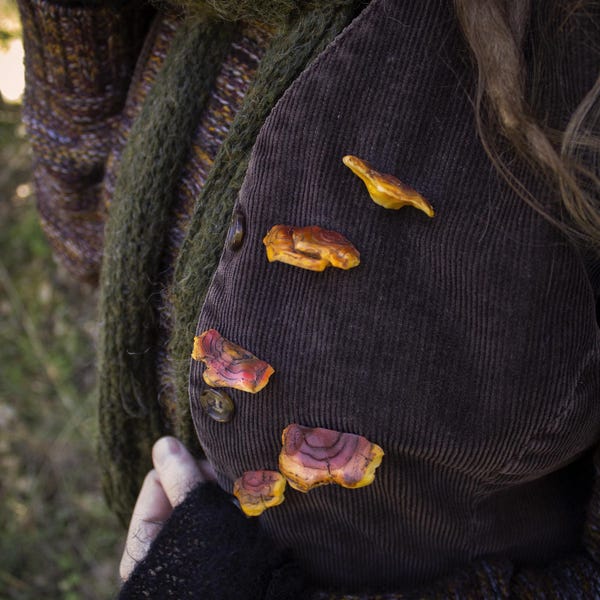 Little shelf fungi - mushroom,hobbitcore,goblincore,cottagecorefashion,autumn,fallvibes,forestfairyfashion,pin,fantasy,cozyfashion,cozy