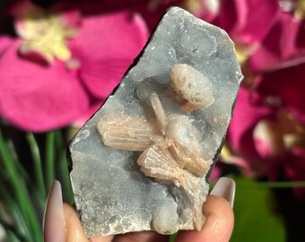 Druzy goteando geoda de calcedonia azul brillante con estilbita rosa, autoestable, gema gema