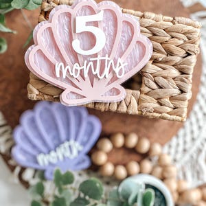 May include: A pink seashell-shaped milestone marker with the number "5" and the word "months" in white. The marker is placed on a woven basket. A purple seashell-shaped marker is also visible.