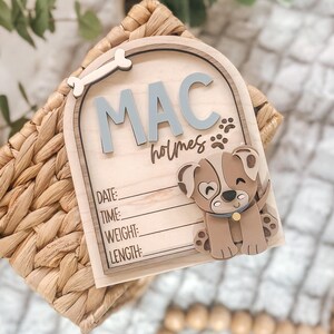 Puppy, Dog, Baby Name Sign, Birth Stats, Announcement, Birth, Name Sign, Baby Name Sign, Hospital, Fresh 48, Baby Boy, Keepsake