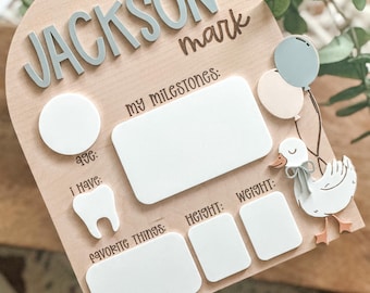 Silly Goose, Dry Erase Milestone Board, Reusable Milestone Board, Photo Prop, Baby, Balloons, Baby