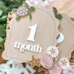 May include: Wooden milestone plaques with a scalloped edge, featuring a turtle, starfish, and seashell accents. The plaque displays the number "1" and the word "month" in white. The background is a light brown wood.
