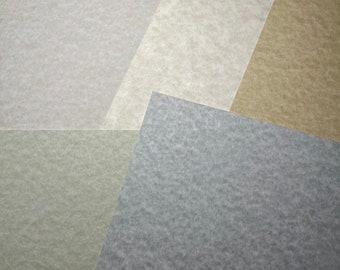 Cardstock, Paper, 8.5x11, 5 Sheets