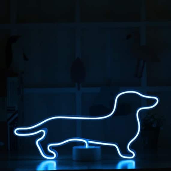  Luz nocturna – Los perros son Cool – Pets – Perro Casa Luz LED  de Noche : Herramientas y Mejoras del Hogar