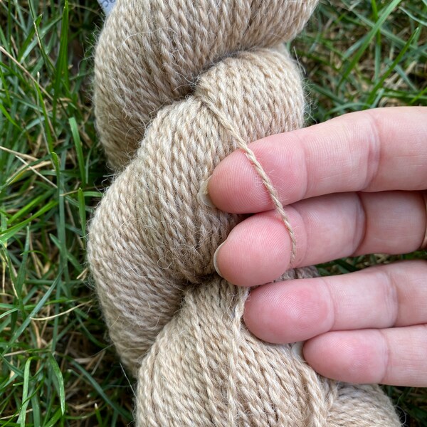 Tan Alpaca Yarn 50 percent suri 20 percent huacaya 30 percent merino 2 ply fingering weight