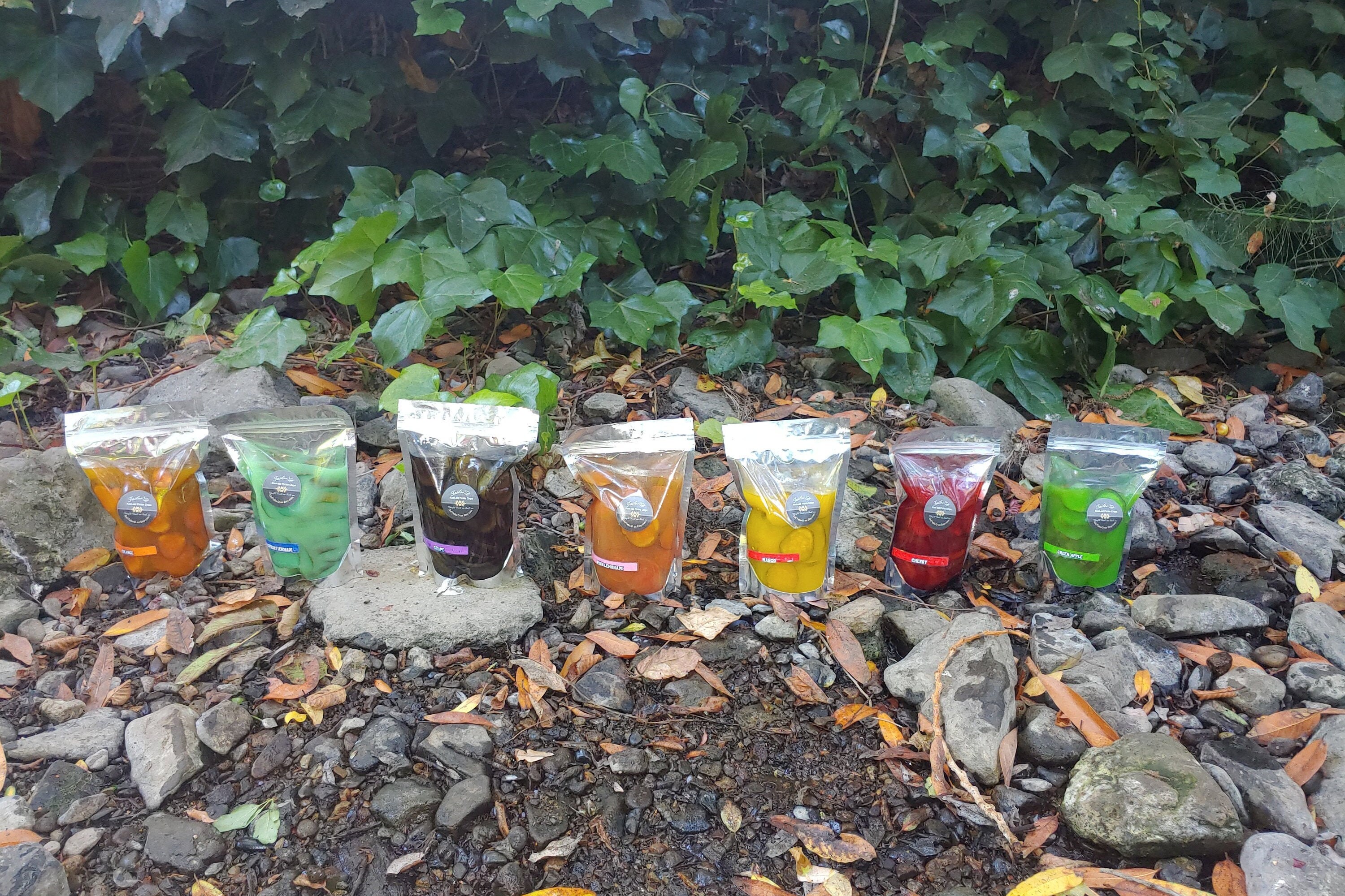 Kool Aid Pickle Chips 1 Bag Etsy