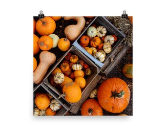 Pumpkins - Long Hill - Printed Photo