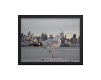 Herring Gull - West New York - Framed Photo