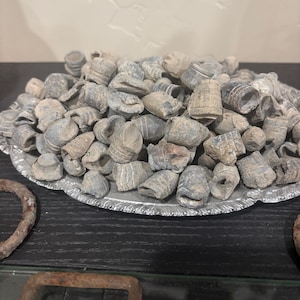 May include: A collection of antique bullets, primarily gray and weathered, displayed on a decorative silver platter. The bullets are of various shapes and sizes, suggesting historical significance. The platter sits on a dark surface, with rusty metal artifacts in the foreground.
