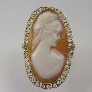 May include: A cameo brooch featuring a woman's profile carved in white shell, set in a gold filigree frame.