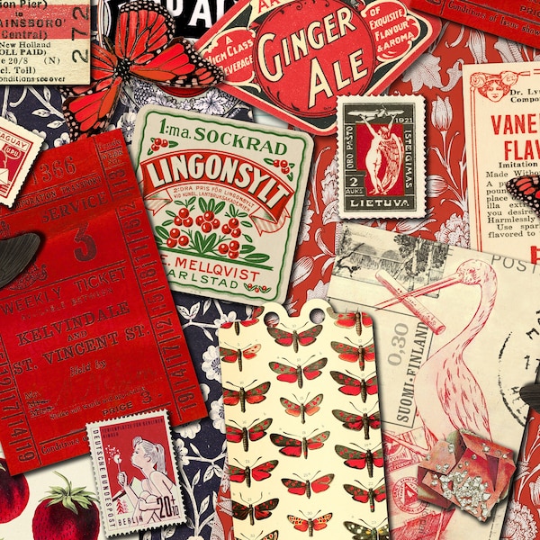 Red Vintage Ephemera / DESCARGA DIGITAL / Diario basura / Diario / Kit imprimible / Álbum de recortes / Hojas de collage / Etiquetas / Retro / Papeles