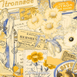 Efímero vintage amarillo pálido, DESCARGA DIGITAL, Diario basura, Flores pastel, Kit imprimible, Álbum de recortes, Hojas de collage, Etiquetas retro